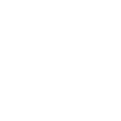 BorgWarner Inc logo