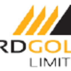 DRDGOLD Limited ADR logo