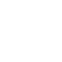 Lucid Group Inc logo