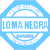 Loma Negra Compania Industrial Argentina SA ADR logo
