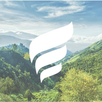 New Fortress Energy LLC logo