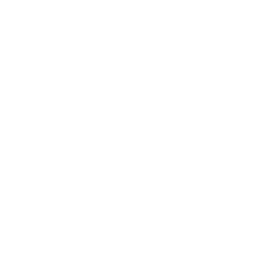 Wynn Resorts Limited logo